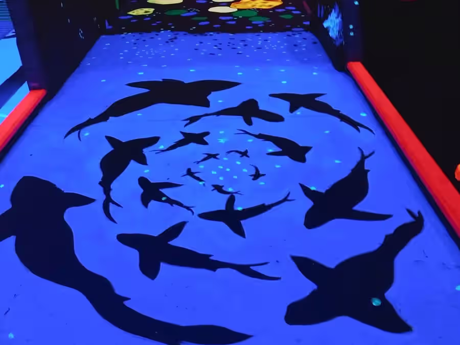 Shark and manta ray silhouette spiral painted on the course floor at Gilbert